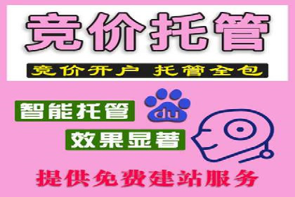 实战解析：SEM运营托管优化策略案例